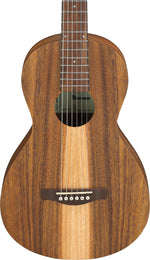 Ibanez PN2WSOPB Acoustic Guitar - Open Pore Brown
