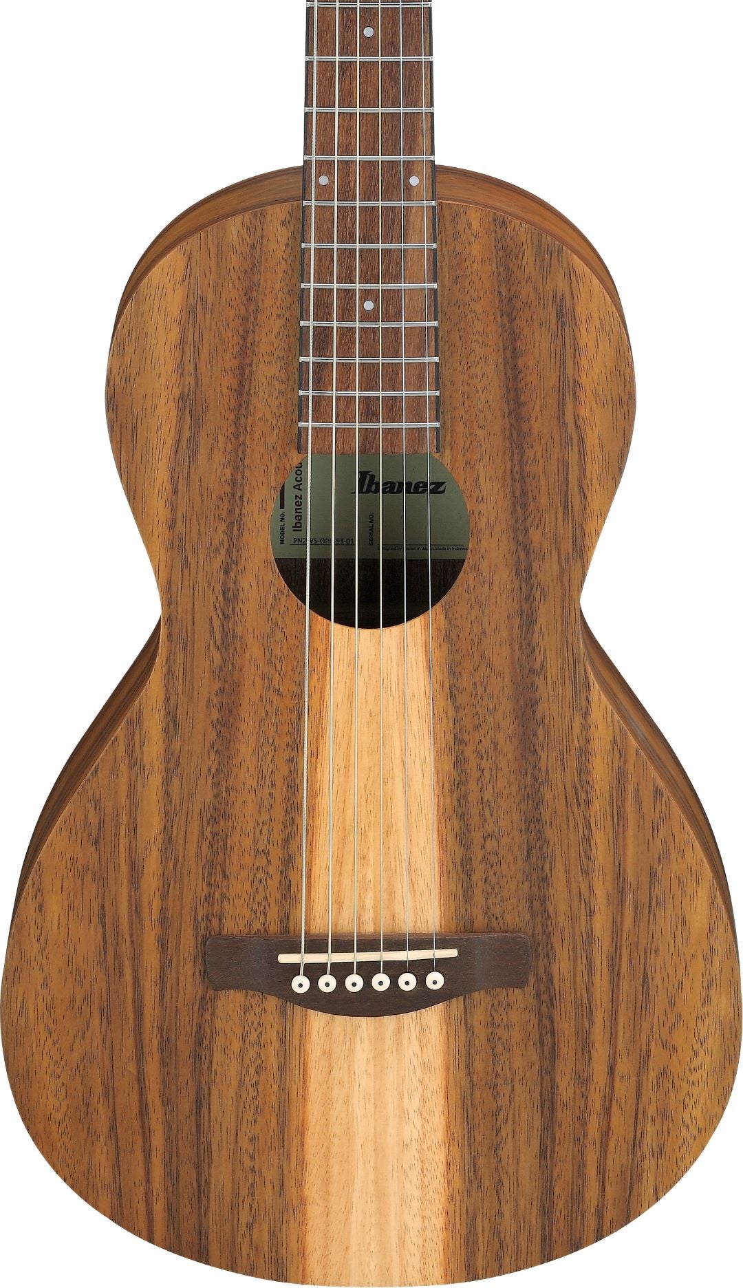 Ibanez PN2WSOPB Acoustic Guitar - Open Pore Brown