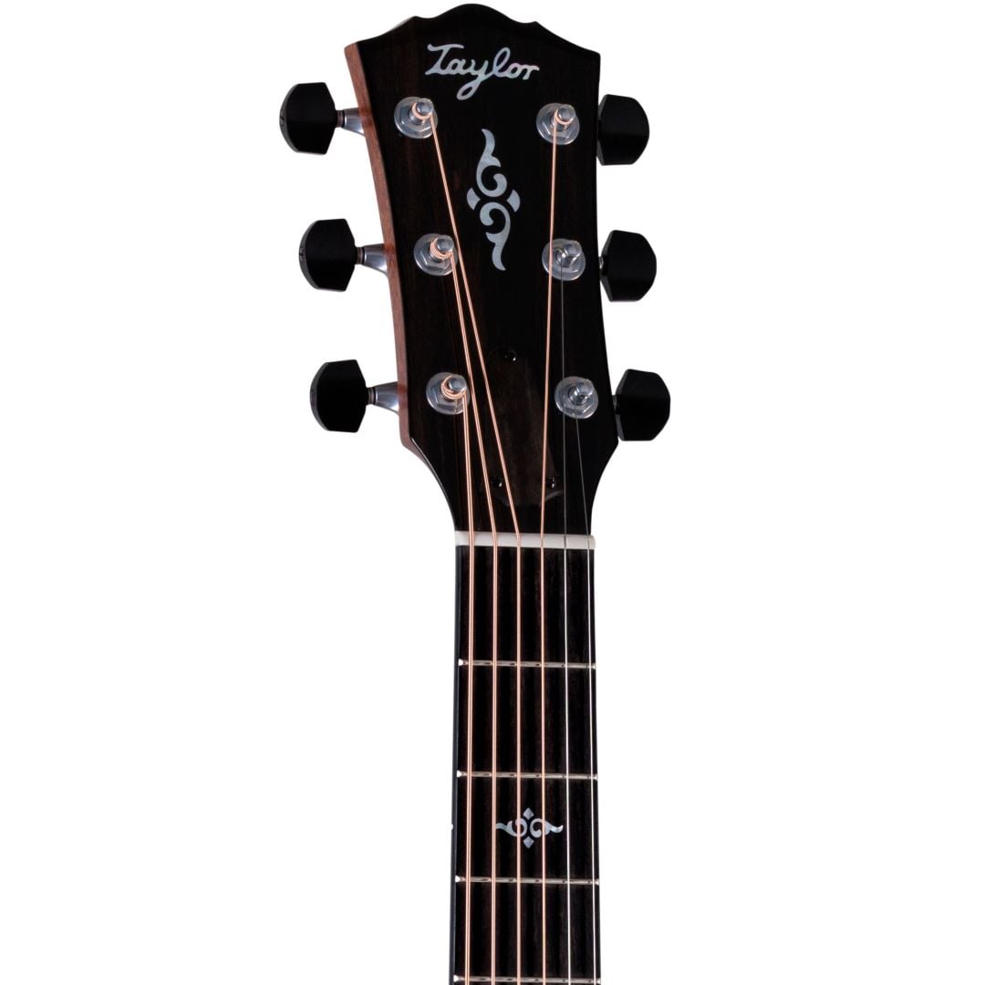 Taylor Gold Label 814e Acoustic Electric Guitar Natural 2