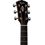 Taylor Gold Label 517e Acoustic Electric Guitar - Natural with Firestripe Pickguard 6