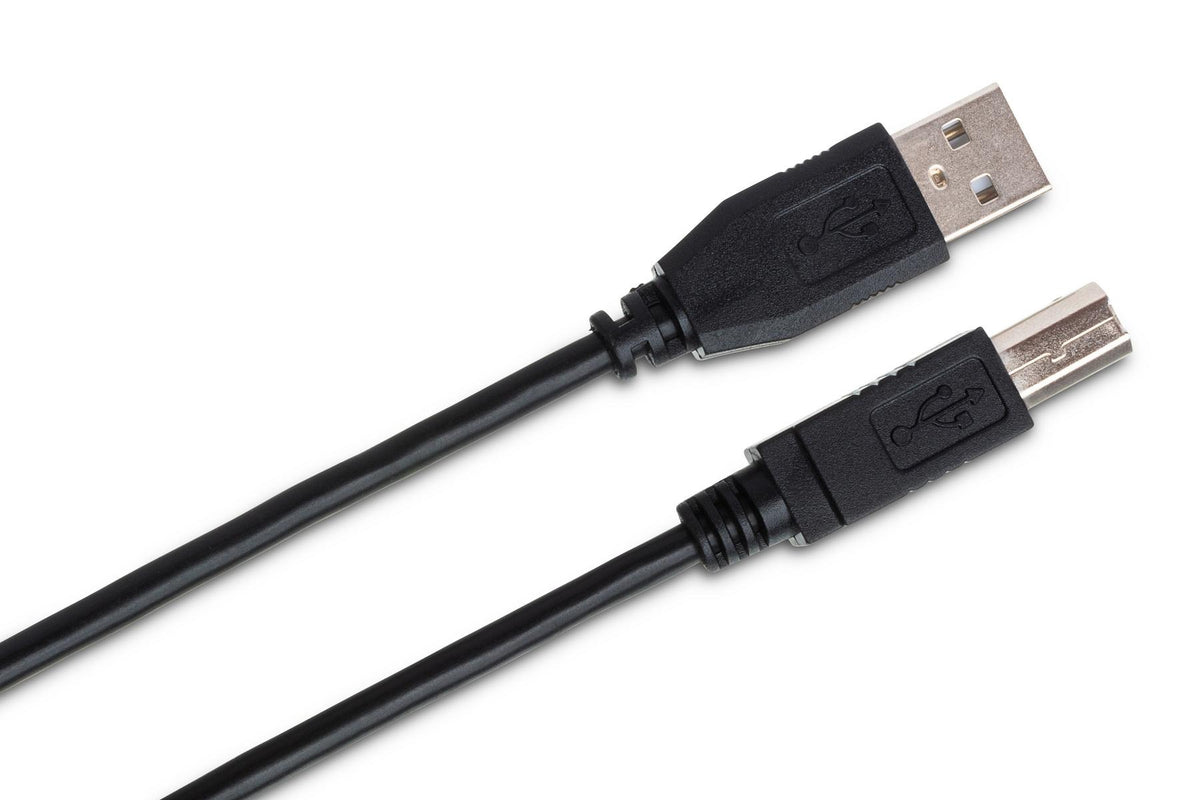 Hosa USB-210-AB High Speed USB Cable - 10 Foot 4