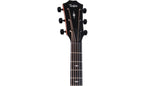 Taylor 324ce Acoustic Electric Cutaway Guitar with Case (2025) 5