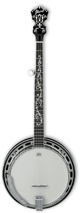 Ibanez B300 5-String Banjo with Rosewood Resonator 2