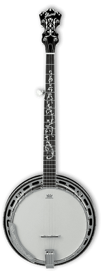 Ibanez B300 5-String Banjo with Rosewood Resonator 2