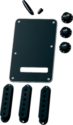 Fender Accessory Kit (Black)