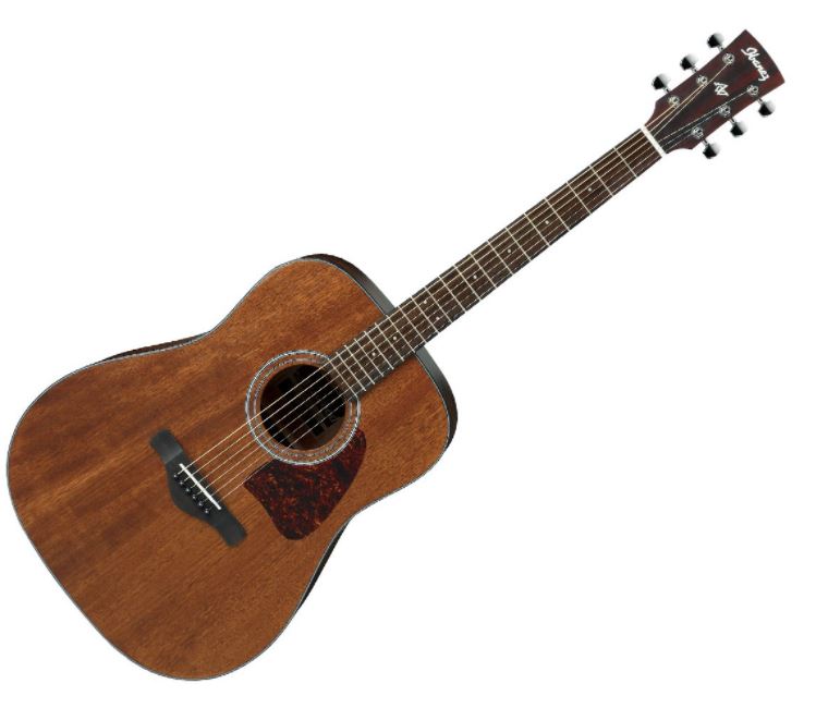 Ibanez AW54OPN Artwood Open Pore Natural No Case 4