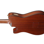 Ibanez FRH10NBSF Nylon String Acoustic Electric Guitar - Brown Sunburst 3