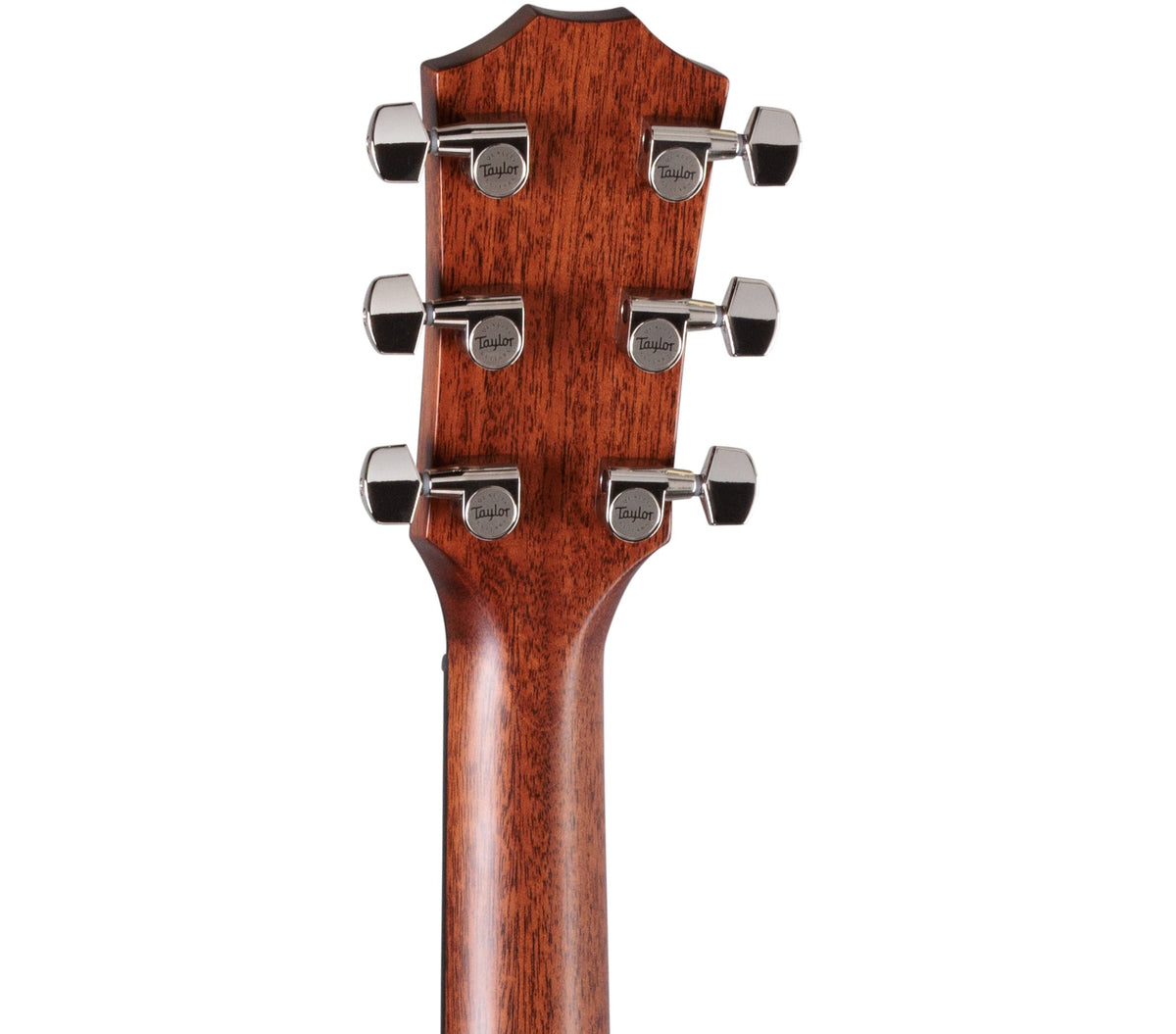 Taylor 314ce Acoustic Electric Guitar Natural (2025) 2