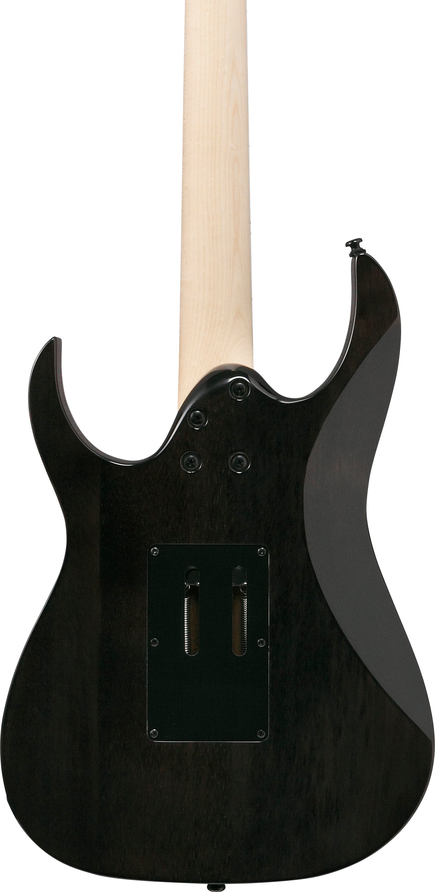 Ibanez RG450QMB Standard Electric Guitar - Transparent Gray Burst 2