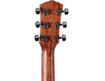Taylor Gold Label 517e Acoustic Electric Guitar - Sunburst 4