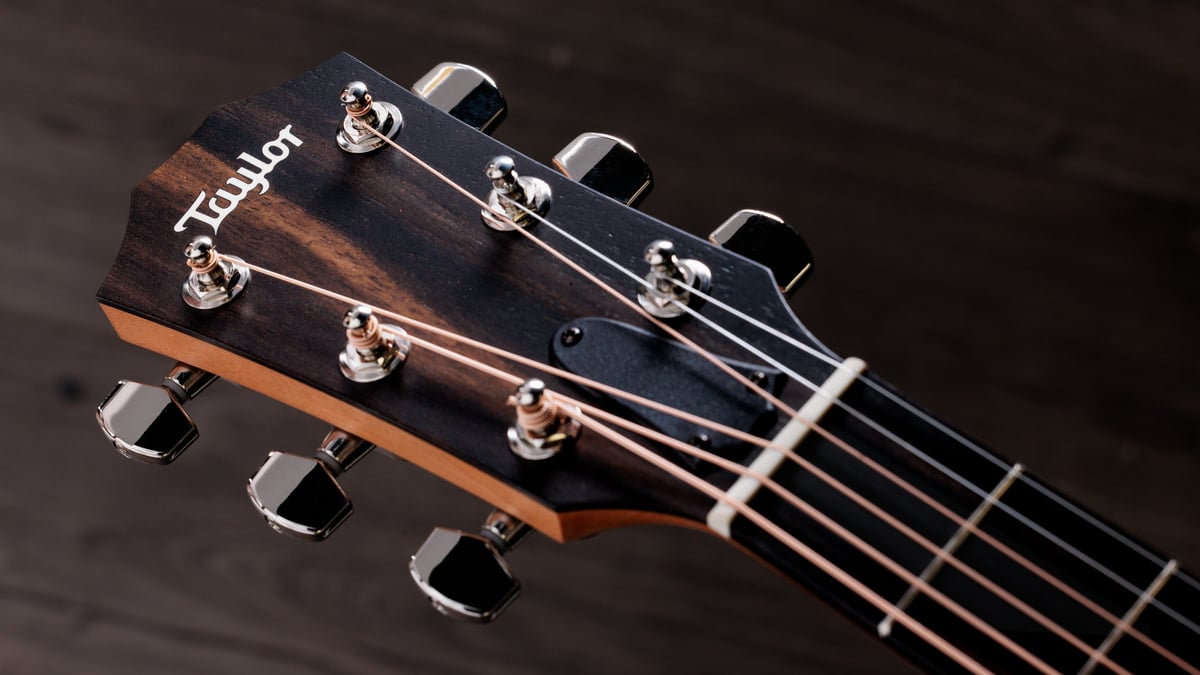 taylor-214ce-k-sb-plus-acoustic-electric-shaded-sunburst-with-aerocase 6