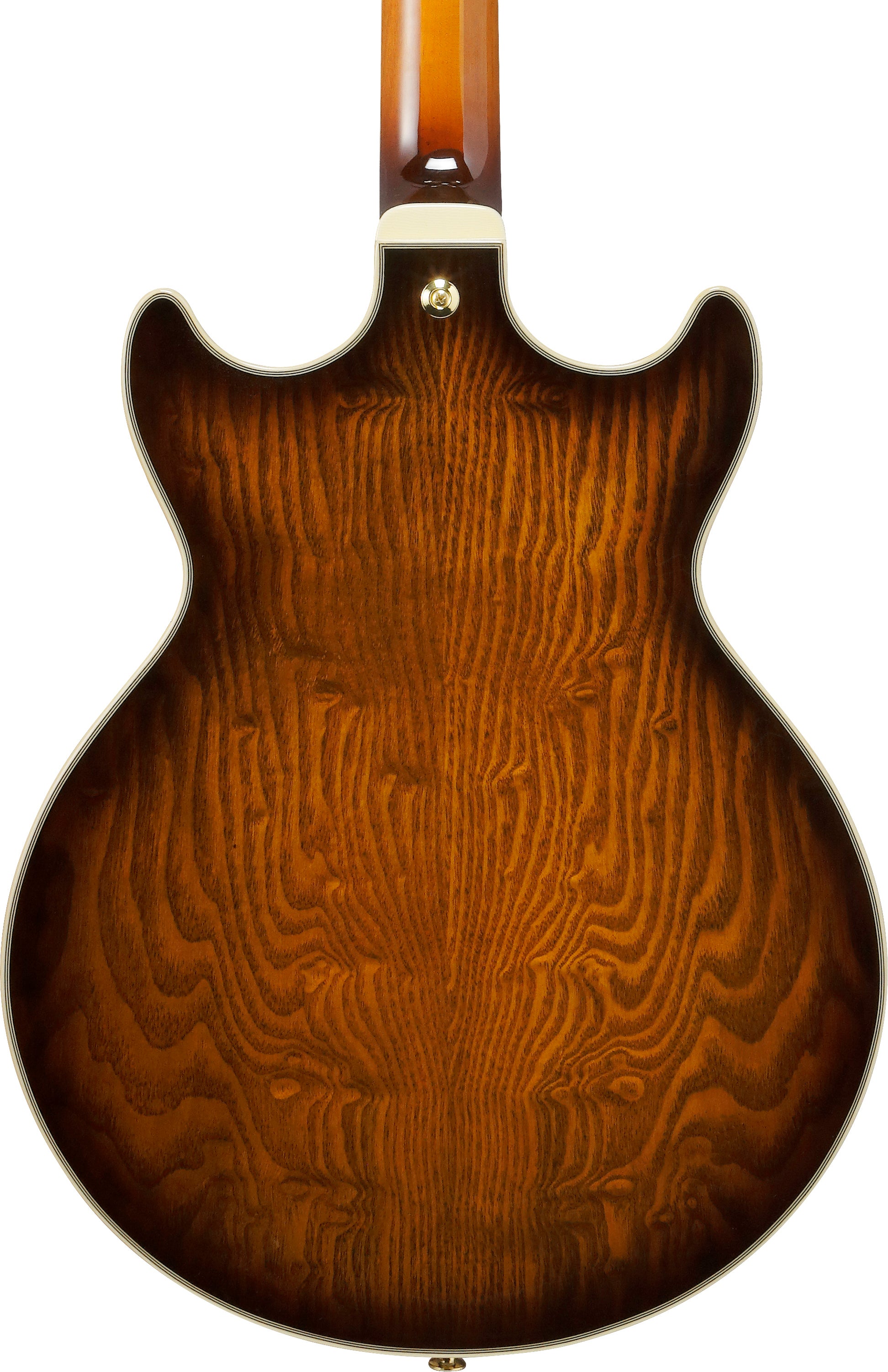 Ibanez AM93QAJBB Artcore Expressionist Hollow-Body Electric Guitar