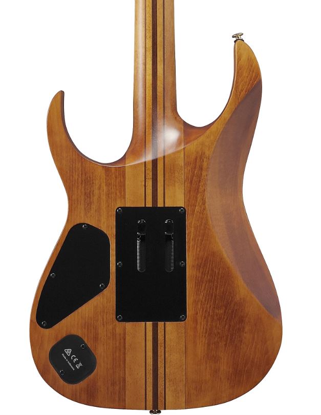 Ibanez RGT1220PBABS Electric Guitar in Antique Brown Stained, three-quarter back view with gigbag