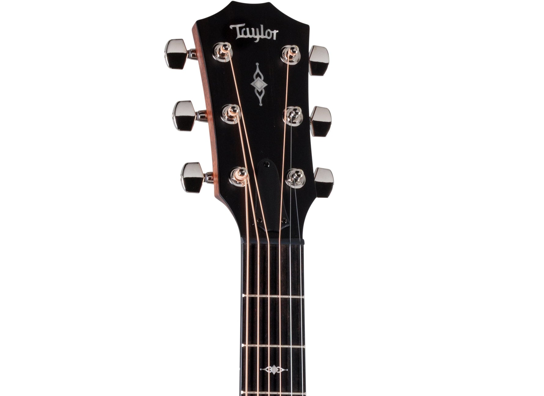 Taylor 314ce Acoustic Electric Guitar Natural (2025) 3