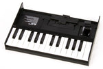 Roland K-25m Boutique Series Keyboard Unit 2