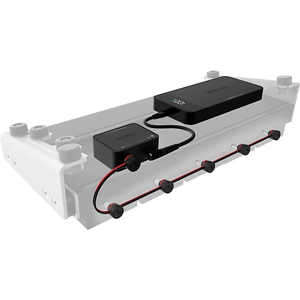 D'Addario XPND Pedal Power Battery Kit - With International Connectors 2