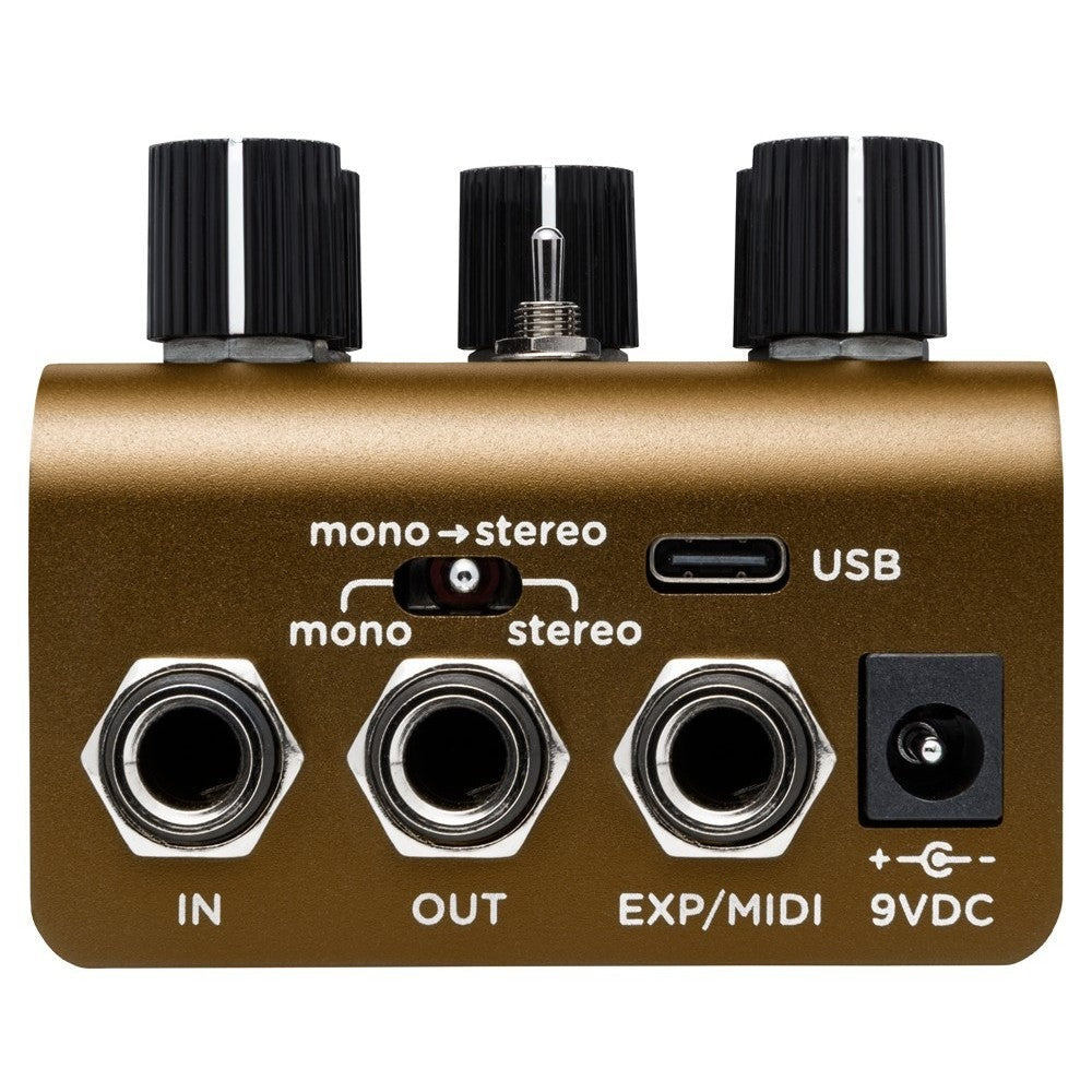 Strymon Olivera Vintage Oil Can Echo 3