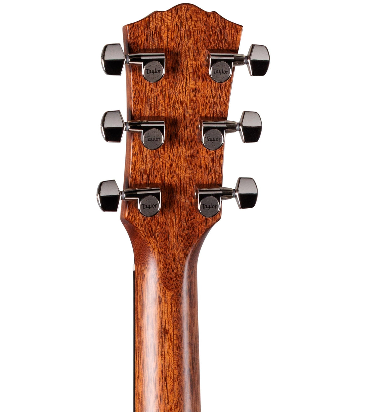 Taylor Gold Label 717e Acoustic Electric Guitar - Sunburst with Firestripe Pickguard 2