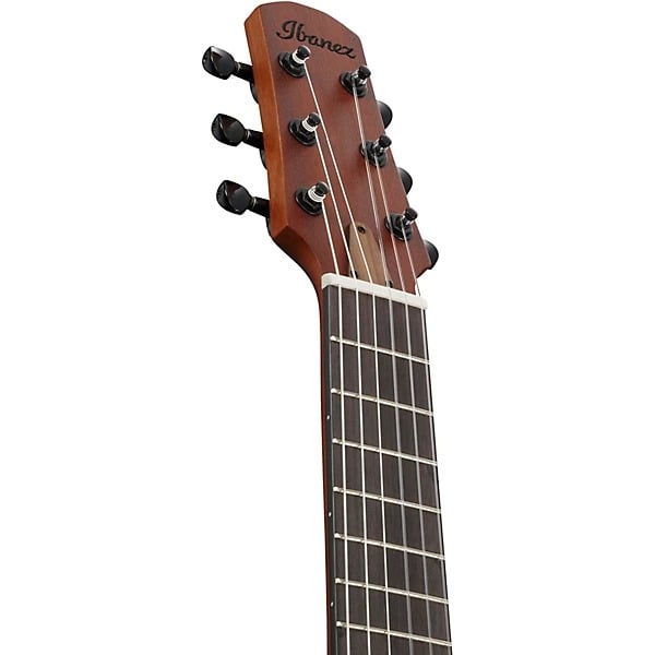 Ibanez AUP10N Nylon 6-String Piccolo Acoustic Guitar - Light Brown Sunburst 4