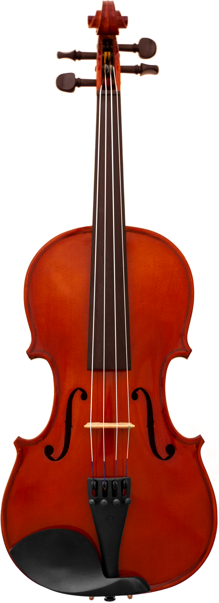 Maple Leaf Strings MLS110VN Violin Outfit - 4/4 Size 6