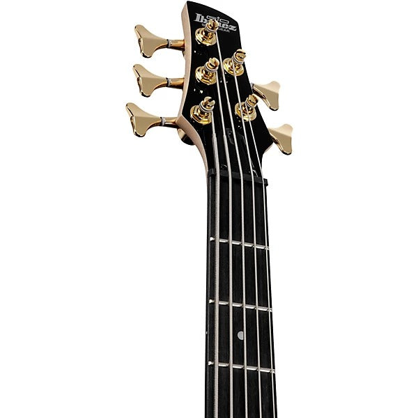 Ibanez Gio 5-String Electric Bass Guitar - Transparent Pale Black Burst 3