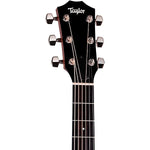 Taylor 414ce Studio Acoustic Electric Guitar Shaded Edgeburst w/Gigbag 3