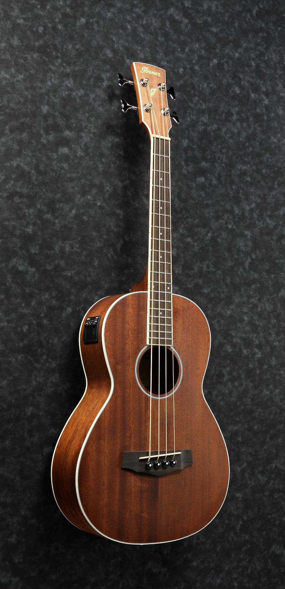 Ibanez PNB14EOPN Parlor Acoustic/Electric Bass (Open Pore Natural) 5