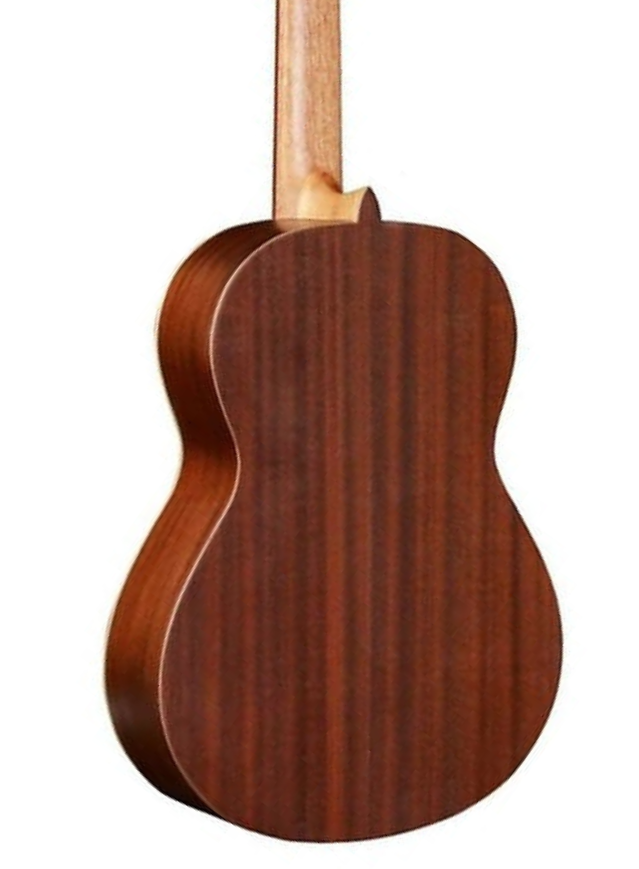 Alhambra 1C HT Nylon String Classical Guitar back view showing wood grain