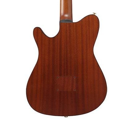 Ibanez FRH10NBSF Nylon String Acoustic Electric Guitar - Brown Sunburst 5