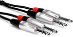 Hosa Pro HSS005X2 Stereo Dual REAN 1/4\" to TRS Cable 5 ft