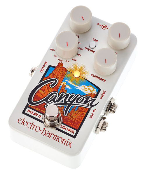 Electro-Harmonix Canyon Delay and Looper 2
