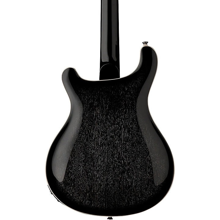 PRS SE Hollowbody Standard Piezo Electric Guitar - Dog Hair Smokeburst 5