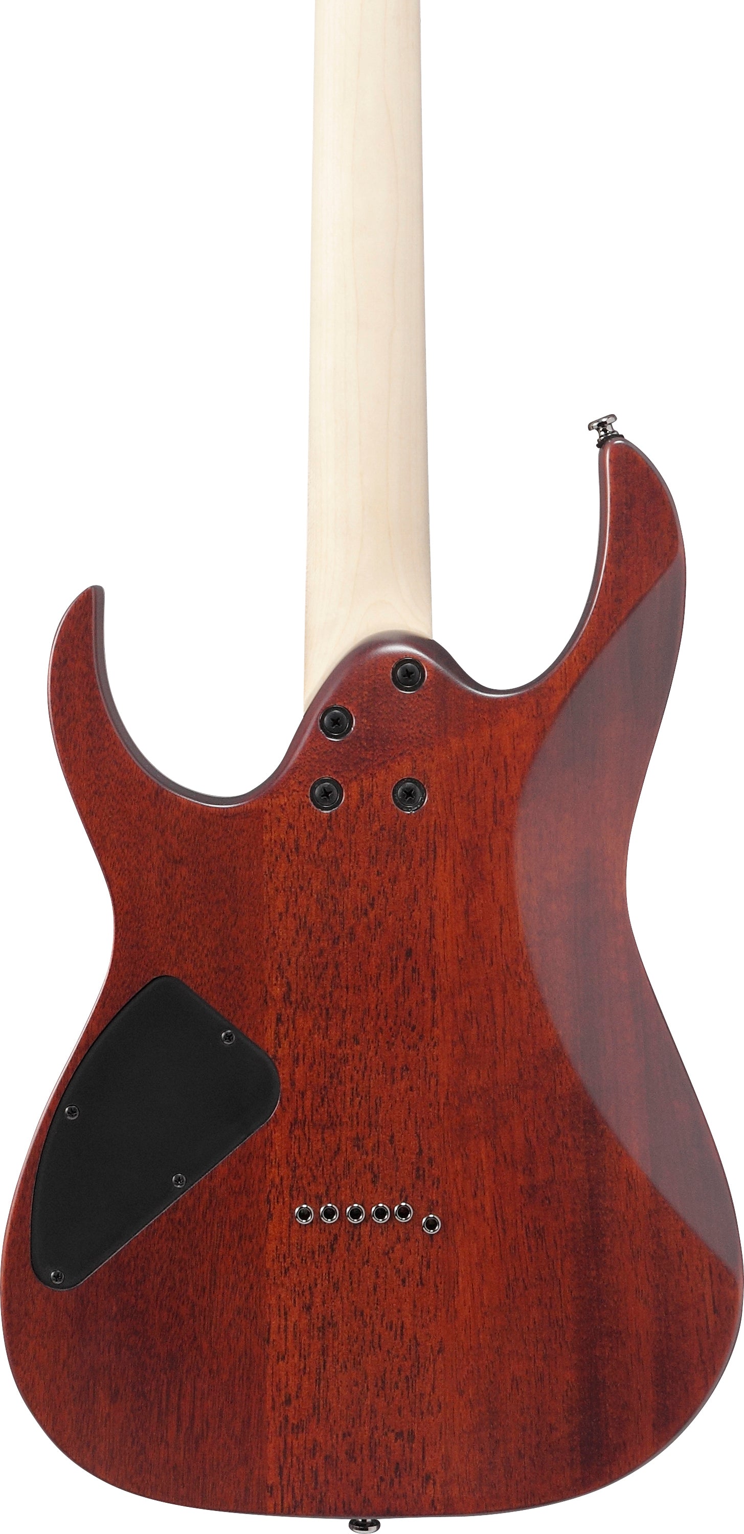 Ibanez RG421SSEM Standard Electric Guitar - Sea Shore Matte 5
