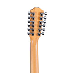 Taylor 254ce Plus 12-String Acoustic Electric Guitar with AeroCase 6