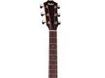 Taylor 'Limited Edition' Academy 10e Acoustic Electric Guitar - Natural 3