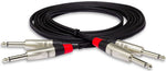 Hosa HPP-010X2 Pro Stereo Interconnect Cable - Dual REAN 1/4\" TS to Same - 10FT