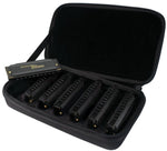 Hohner Piedmont Blues Set