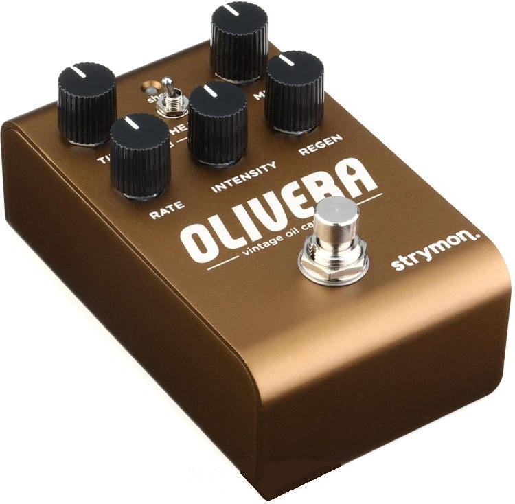Strymon Olivera Vintage Oil Can Echo 2