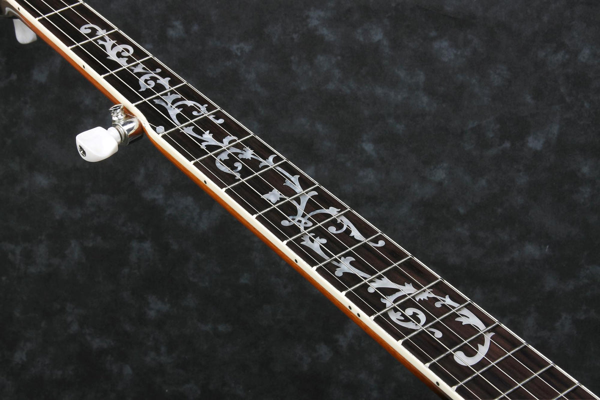 Ibanez B200 5-String Resonator Banjo - With Basswood Rim 2