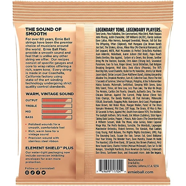Ernie Ball P02805 Flatwound Group 2.5 Electric Bass Strings (.45 - .105) 2