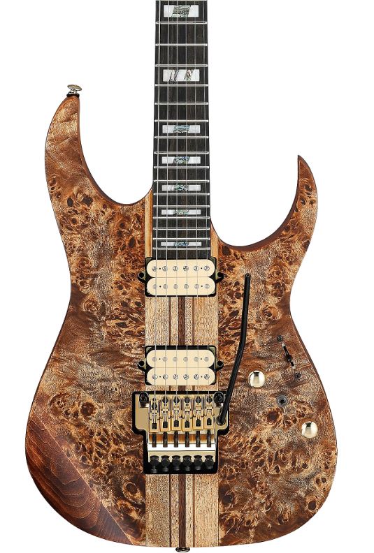 Ibanez RGT1220PBABS Electric Guitar in Antique Brown Stained finish, three-quarter front view 2
