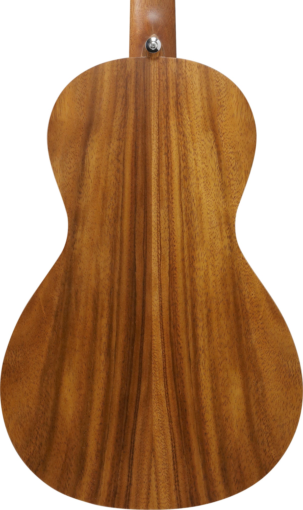 Ibanez PN2WSOPB Acoustic Guitar - Open Pore Brown 5