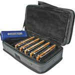 Hohner BLHRP-5PK Blues Harp 5 pack (GACDE) 3