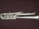 Used H.N. White 'King' Master Model Bb Cornet - Matte Silver-Plate 5