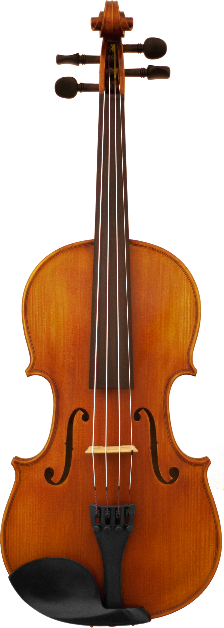 Maple Leaf Strings MLS130VN 4/4 Violin Outfit  - With Case & Bow 2
