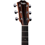 taylor-214ce-acoustic-electric-guitar 4