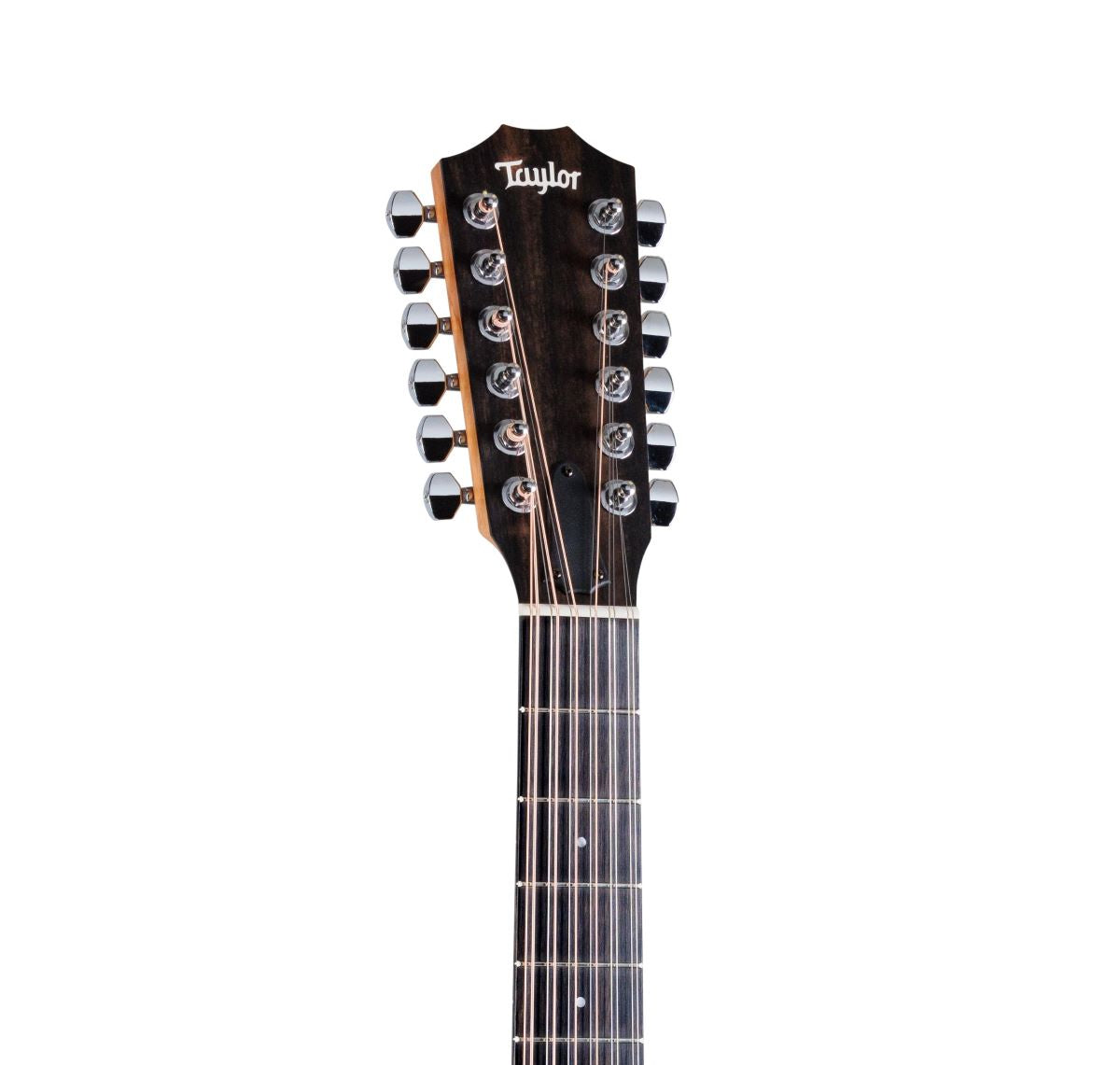 Taylor 254ce Plus 12-String Acoustic Electric Guitar with AeroCase 4