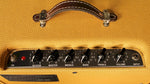 Fender Blues Junior 15-Watt Tube Tweed Combo Guitar Amp 2